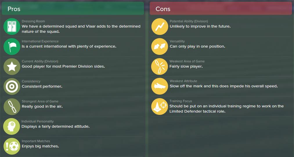 Ron Vlaar, FM15, FM 2015, Football Manager 2015, Scout Report, Pros & Cons