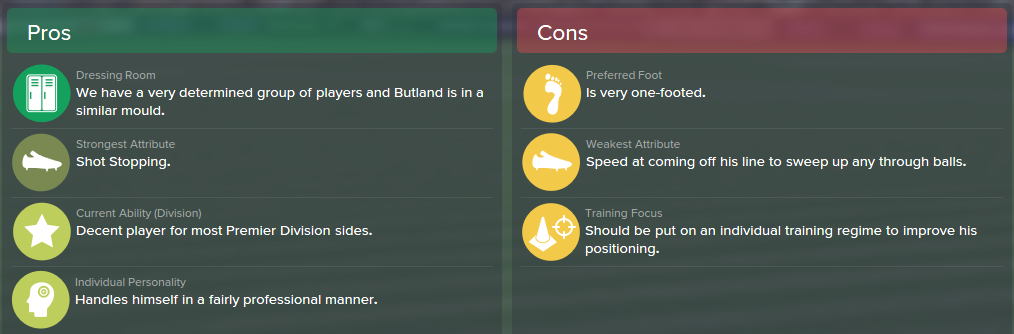 Jack Butland, FM15, FM 2015, Football Manager 2015, Scout Report, Pros & Cons