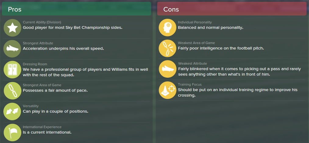 George Williams, FM15, FM 2015, Football Manager 2015, Scout Report, Pros & Cons