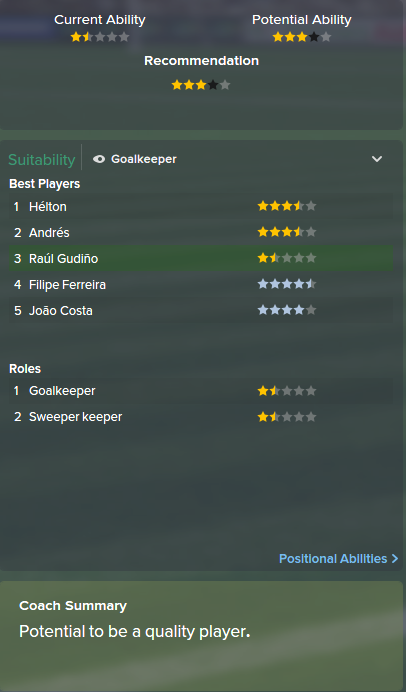 Raul Gudino, FM15, FM 2015, Football Manager 2015, Scout Report, Current & Potential Ability